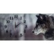 Nástenné hodiny Z330 s motívom vlk